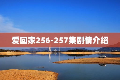 爱回家256-257集剧情介绍