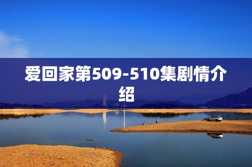 爱回家第509-510集剧情介绍
