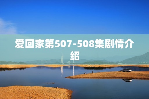 爱回家第507-508集剧情介绍