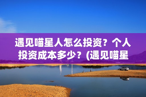 遇见喵星人怎么投资？个人投资成本多少？(遇见喵星人海报)