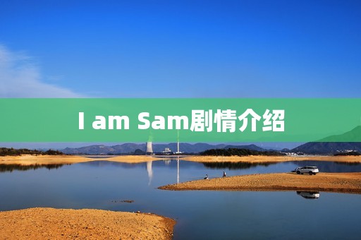 I am Sam剧情介绍