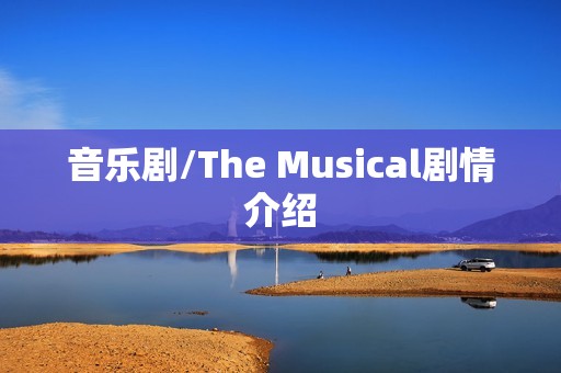 音乐剧/The Musical剧情介绍