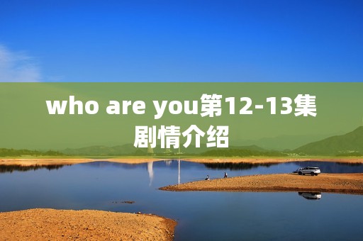 who are you第12-13集剧情介绍