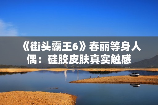 《街头霸王6》春丽等身人偶：硅胶皮肤真实触感