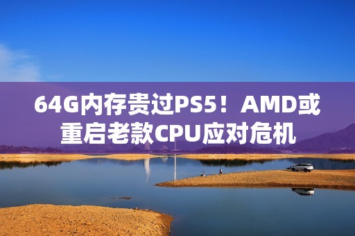 64G内存贵过PS5！AMD或重启老款CPU应对危机