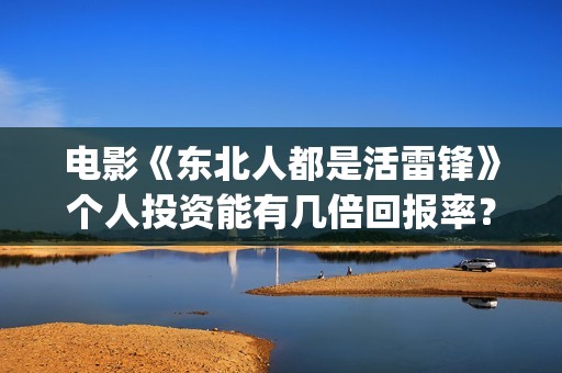 电影《东北人都是活雷锋》个人投资能有几倍回报率？(《东北人》)