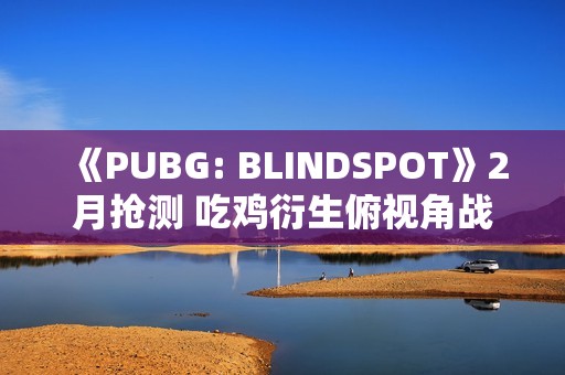 《PUBG: BLINDSPOT》2月抢测 吃鸡衍生俯视角战术射击