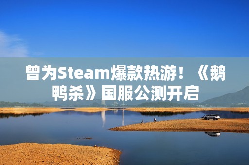 曾为Steam爆款热游！《鹅鸭杀》国服公测开启