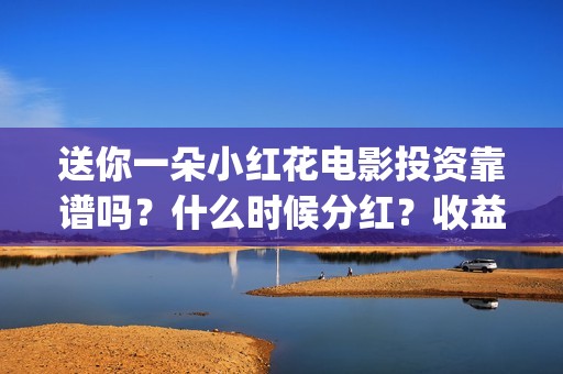 送你一朵小红花电影投资靠谱吗？什么时候分红？收益怎么算(送你一朵小红花结局)