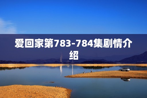 爱回家第783-784集剧情介绍