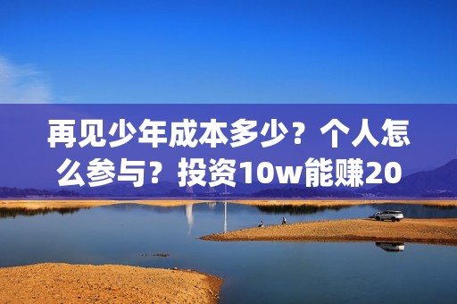 再见少年成本多少？个人怎么参与？投资10w能赚20w吗？(再见少年投资成本多少)