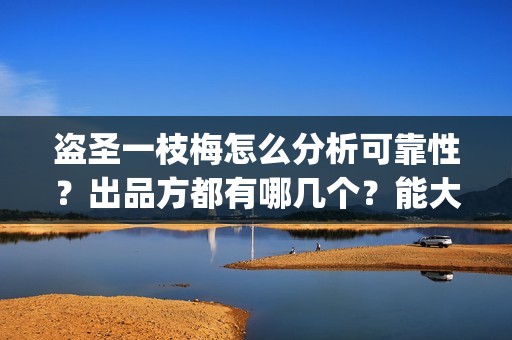 盗圣一枝梅怎么分析可靠性？出品方都有哪几个？能大卖吗？(一枝梅和逆贼)