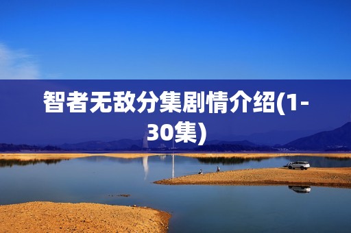 智者无敌分集剧情介绍(1-30集)