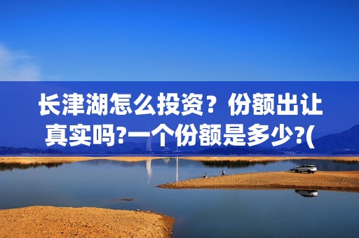 长津湖怎么投资？份额出让真实吗?一个份额是多少?(长津湖投资门槛高)
