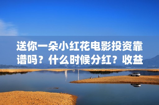 送你一朵小红花电影投资靠谱吗？什么时候分红？收益怎么算(送你一朵小红花歌词)