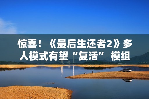 惊喜！《最后生还者2》多人模式有望“复活” 模组大神出手突破