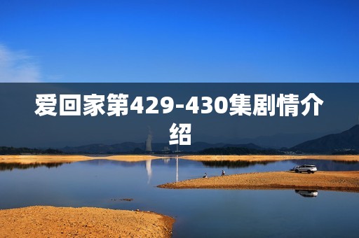 爱回家第429-430集剧情介绍