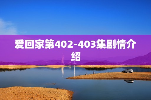 爱回家第402-403集剧情介绍