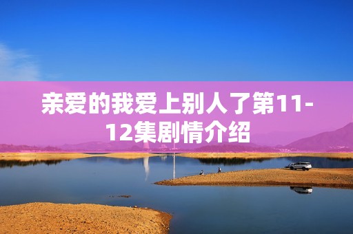 亲爱的我爱上别人了第11-12集剧情介绍