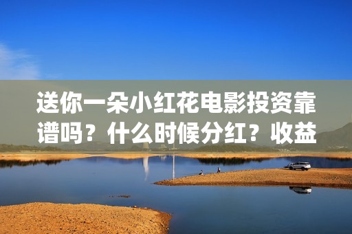 送你一朵小红花电影投资靠谱吗？什么时候分红？收益怎么算(送你一朵小红花 歌曲)