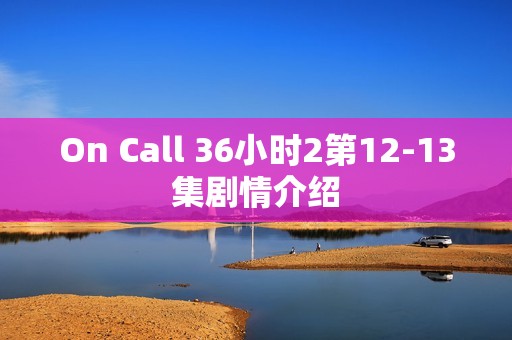 On Call 36小时2第12-13集剧情介绍
