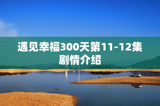 遇见幸福300天第11-12集剧情介绍
