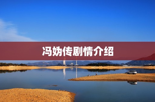冯妫传剧情介绍