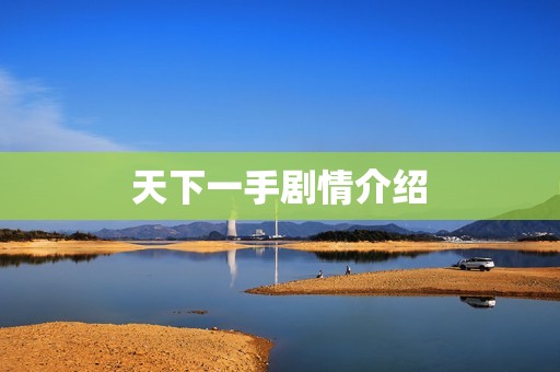 天下一手剧情介绍