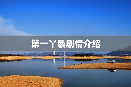 第一丫鬟剧情介绍