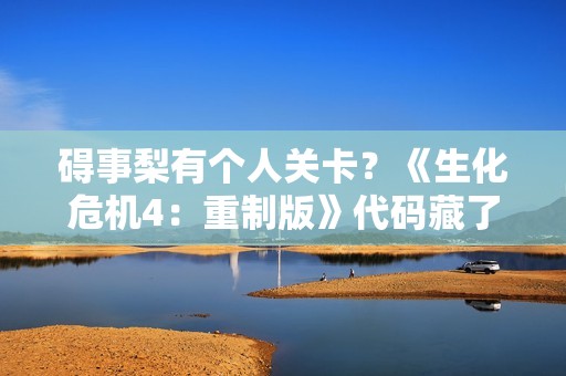 碍事梨有个人关卡？《生化危机4：重制版》代码藏了大的！