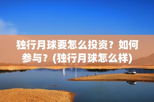 独行月球要怎么投资？如何参与？(独行月球怎么样)