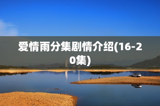爱情雨分集剧情介绍(16-20集)