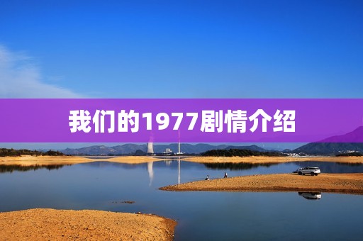 我们的1977剧情介绍