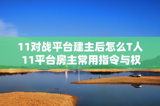 11对战平台建主后怎么T人 11平台房主常用指令与权限教学【房主必备】