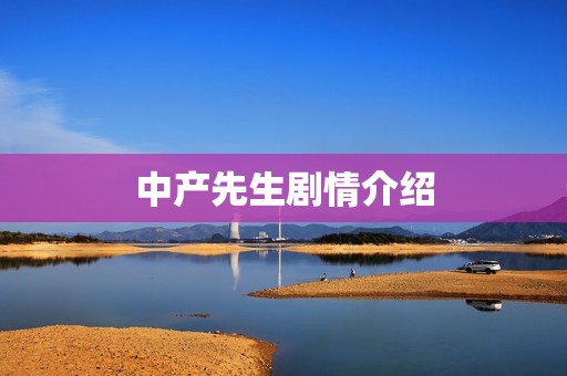 中产先生剧情介绍