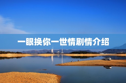 一眼换你一世情剧情介绍