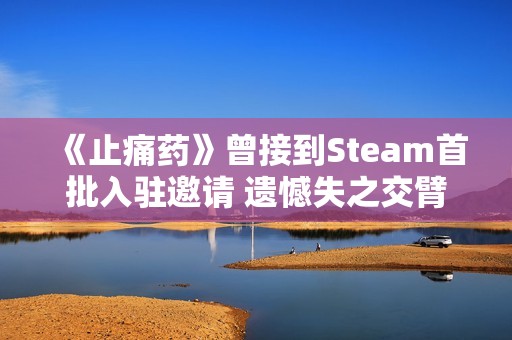 《止痛药》曾接到Steam首批入驻邀请 遗憾失之交臂