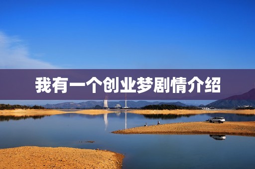 我有一个创业梦剧情介绍