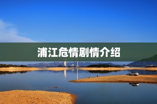 浦江危情剧情介绍
