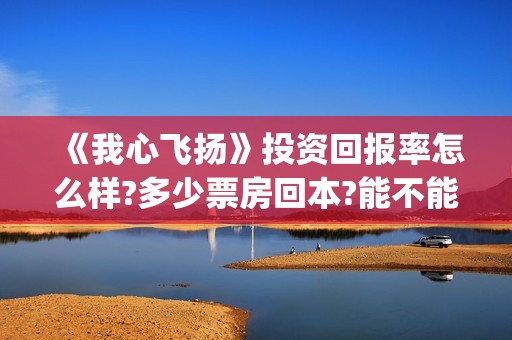 《我心飞扬》投资回报率怎么样?多少票房回本?能不能赚钱?(电影我心飞扬)