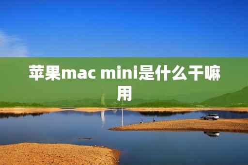 苹果mac mini是什么干嘛用