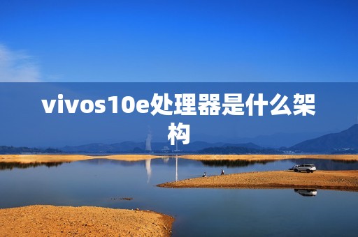 vivos10e处理器是什么架构
