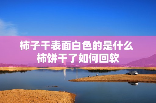 柿子干表面白色的是什么 柿饼干了如何回软
