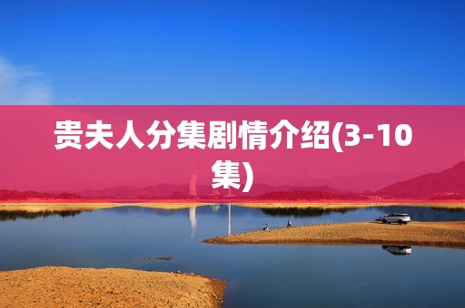 贵夫人分集剧情介绍(3-10集)