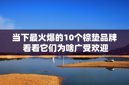 当下最火爆的10个棕垫品牌 看看它们为啥广受欢迎