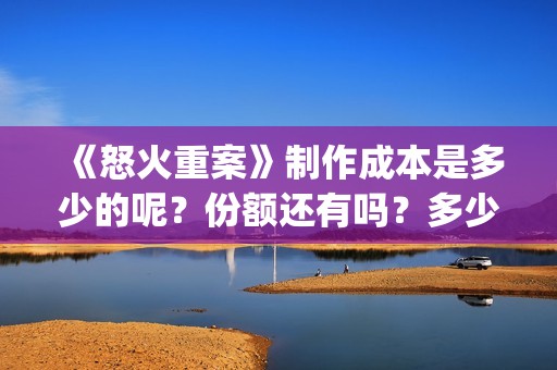 《怒火重案》制作成本是多少的呢？份额还有吗？多少起投呢？(怒火重案口碑炸裂)