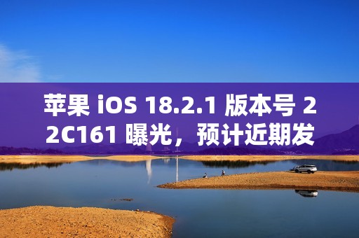 苹果 iOS 18.2.1 版本号 22C161 曝光，预计近期发布