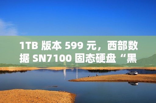 1TB 版本 599 元，西部数据 SN7100 固态硬盘“黑盘”发售