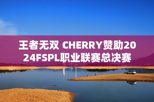 王者无双 CHERRY赞助2024FSPL职业联赛总决赛
