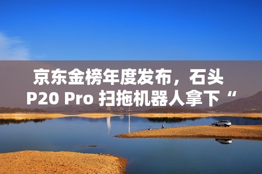 京东金榜年度发布，石头 P20 Pro 扫拖机器人拿下“2024 新品金奖”
